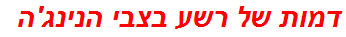 דמות של רשע בצבי הנינג'ה