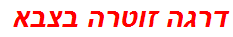 דרגה זוטרה בצבא