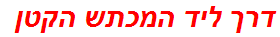 דרך ליד המכתש הקטן