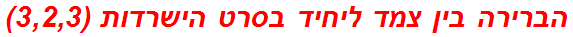 הברירה בין צמד ליחיד בסרט הישרדות (3,2,3)