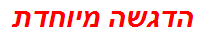 הדגשה מיוחדת