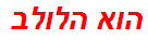 הוא הלולב