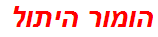 הומור היתול