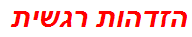 הזדהות רגשית