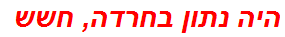 היה נתון בחרדה, חשש