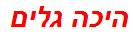 היכה גלים