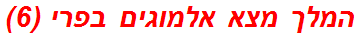 המלך מצא אלמוגים בפרי (6)