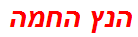 הנץ החמה