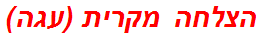 הצלחה מקרית (עגה)