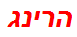 הרינג