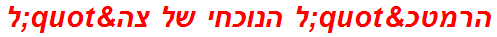 הרמטכ"ל הנוכחי של צה"ל