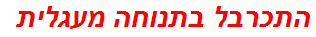 התכרבל בתנוחה מעגלית