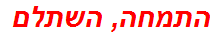 התמחה, השתלם