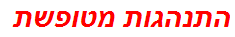 התנהגות מטופשת