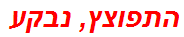 התפוצץ, נבקע