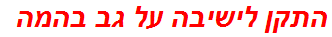 התקן לישיבה על גב בהמה