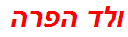 ולד הפרה