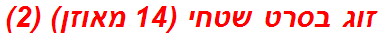 זוג בסרט שטחי (14 מאוזן) (2)