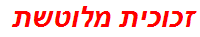 זכוכית מלוטשת