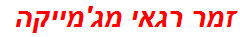 זמר רגאי מג'מייקה