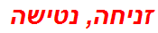 זניחה, נטישה