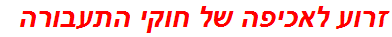 זרוע לאכיפה של חוקי התעבורה