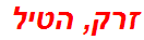 זרק, הטיל