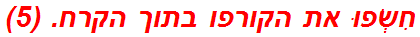 חִשְׂפוּ את הקורפו בתוך הקרח. (5)