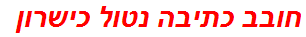 חובב כתיבה נטול כישרון