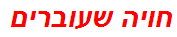 חויה שעוברים
