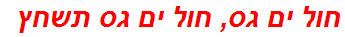 חול ים גס, חול ים גס תשחץ