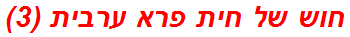 חוש של חית פרא ערבית (3)