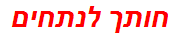 חותך לנתחים