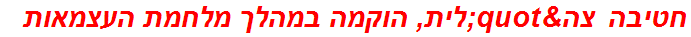 חטיבה צה"לית, הוקמה במהלך מלחמת העצמאות