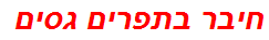 חיבר בתפרים גסים