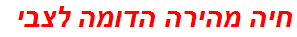 חיה מהירה הדומה לצבי