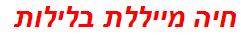 חיה מייללת בלילות