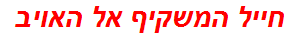 חייל המשקיף אל האויב