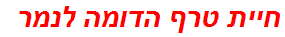 חיית טרף הדומה לנמר