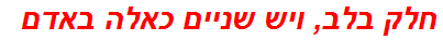 חלק בלב, ויש שניים כאלה באדם