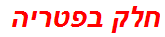 חלק בפטריה