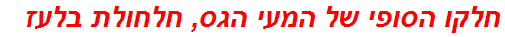 חלקו הסופי של המעי הגס, חלחולת בלעז