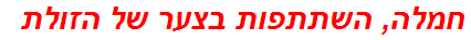 חמלה, השתתפות בצער של הזולת