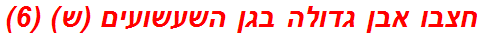 חצבו אבן גדולה בגן השעשועים (ש) (6)