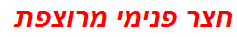 חצר פנימי מרוצפת