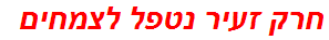 חרק זעיר נטפל לצמחים