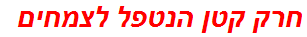 חרק קטן הנטפל לצמחים