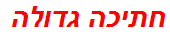 חתיכה גדולה