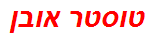 טוסטר אובן