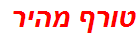 טורף מהיר